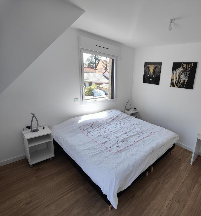 Appartement 48M², Strasbourg Centre A 15 Min En Train Fegersheim Eksteriør billede